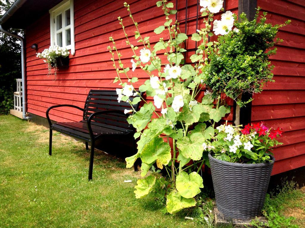 Olholm Cottage Стеге Номер фото